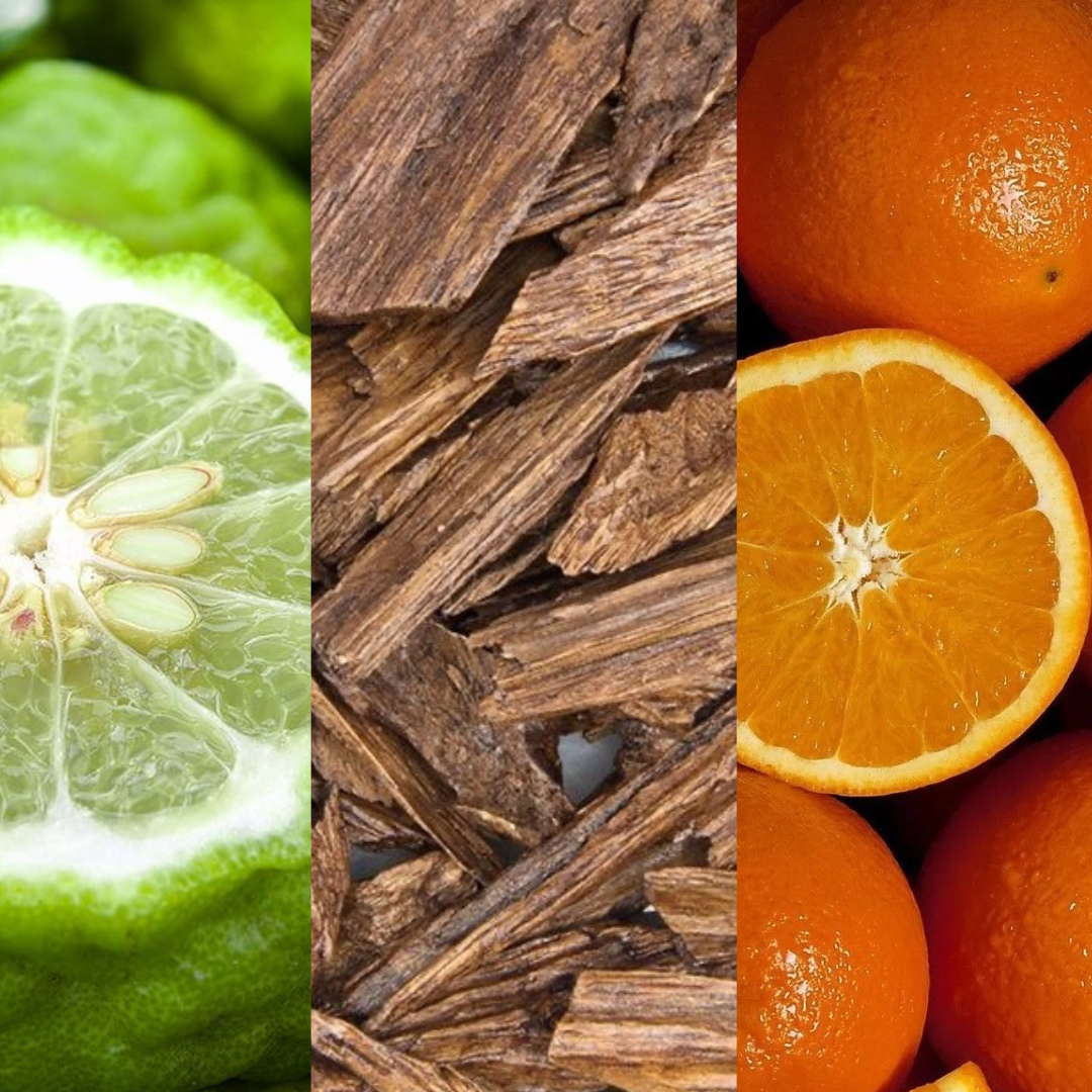 Spicy Tangerine • Hydrates • Firms • Soothes • Dry Body Oil • Vitamin E | Bergamot | Oud | Sweet Orange | 15 +Organic ingredients | African & Mediterranean rituals in 1 bottle