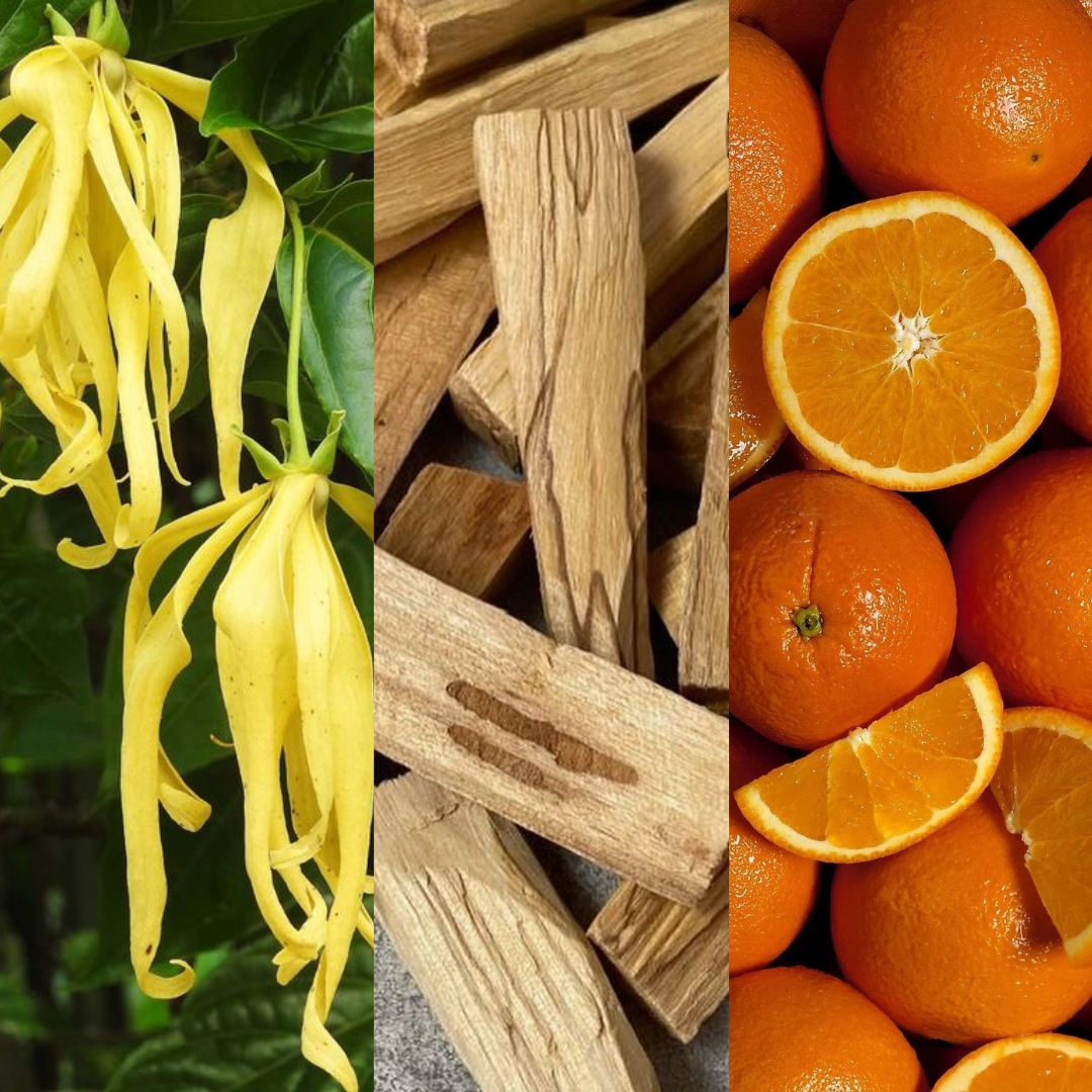 Autumn • Hydrateert • Verstevigd • Verzachtend •  Dry Body Oil • Vitamine E | Sandelhout | Ylang Ylang | 15 +Organic ingredienten | Afrikaanse & Mediterrane rituelen in 1 fles