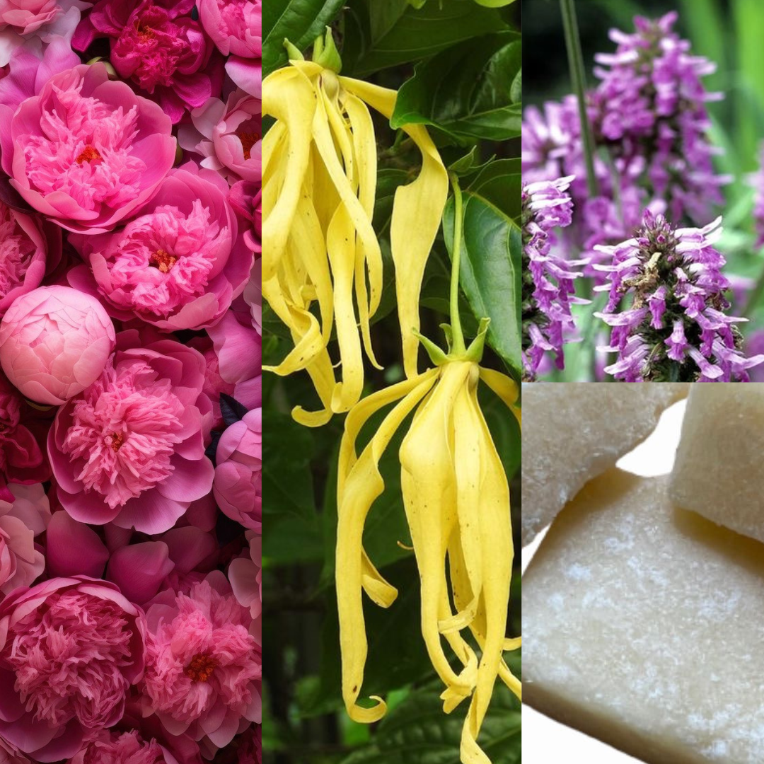 Desert Rose • Hydrateert • Verstevigd • Verzachtend •  Dry Body Oil • Vitamine E | Rose peonies | Musk | Patchouli | 15 +Organic ingredienten | Afrikaanse & Mediterrane rituelen in 1 fles