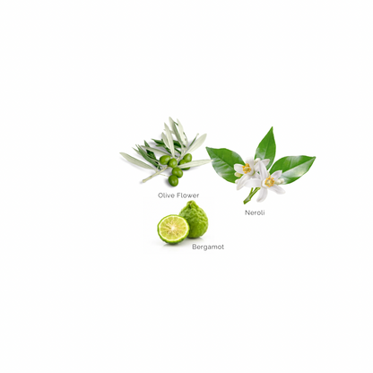 Serenity  • Organic Dry Body Oil • Vitamine E | Olive Flower | Neroli | 100ML