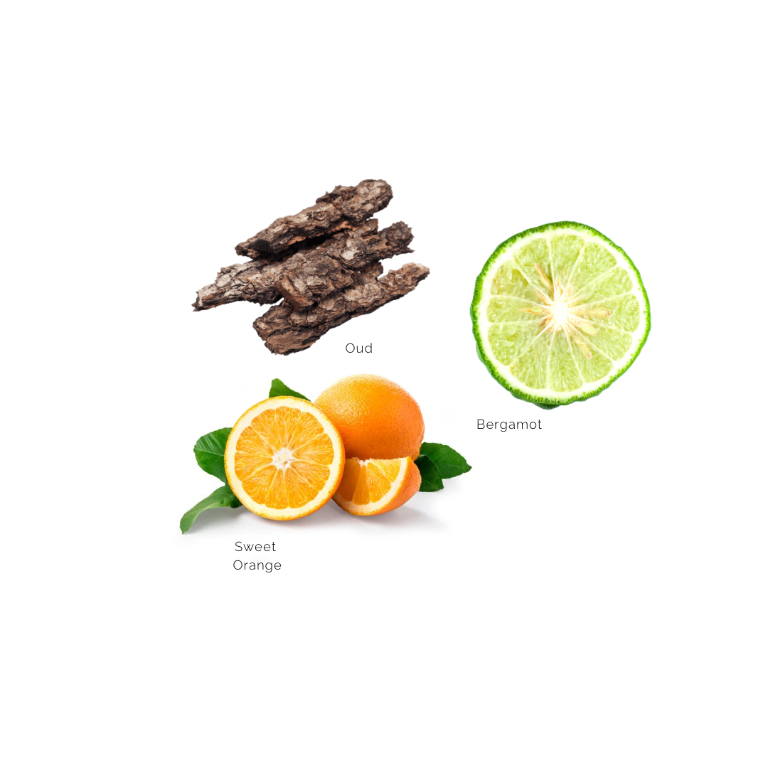Spicy Tangerine •  Organic Dry Body Oil  • Vitamine E | Bergamot | Oud | 100ML