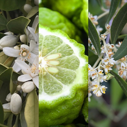 Serenity  • Organic Dry Body Oil • Vitamine E | Olive Flower | Neroli | Apricot